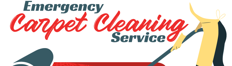 emgergency carpet cleaning service in us