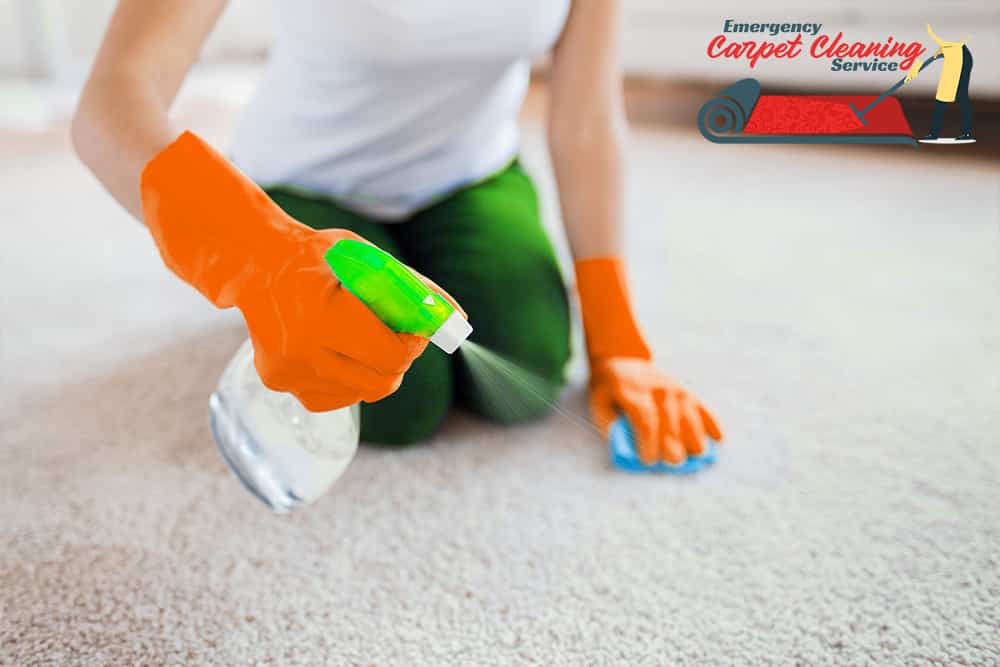 Carpet cleaning San Jose || 24/7 Emergency Carpet Cleaning