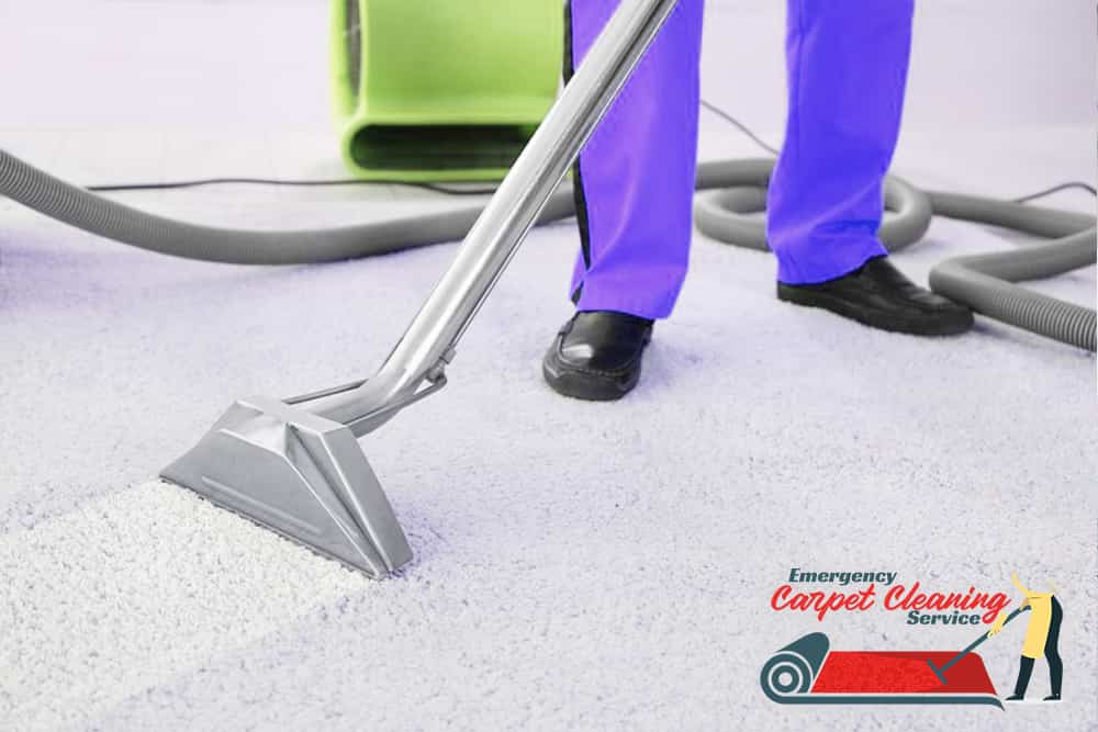 The Emergency Cleaning Company You Can Trust