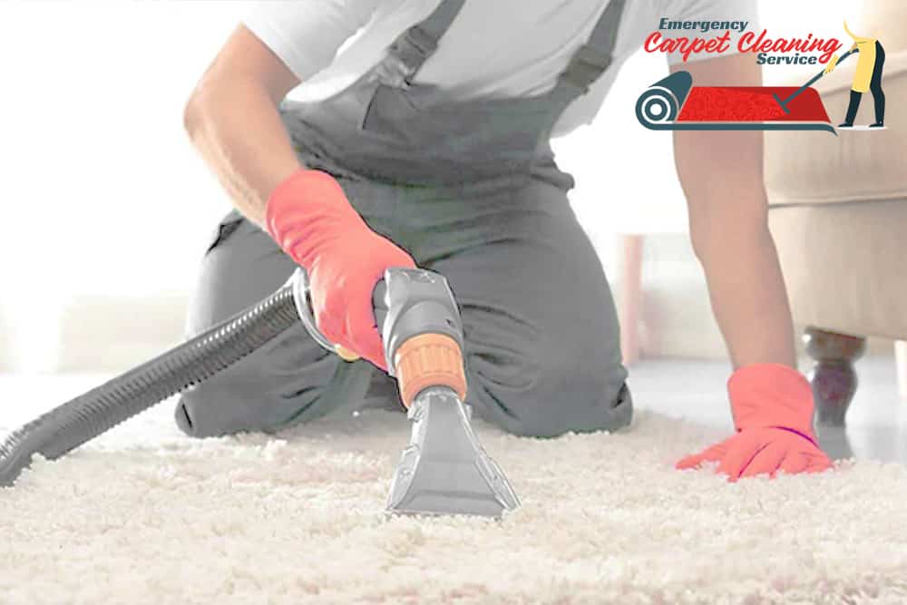 Why should I Clean My Carpets